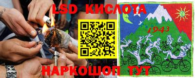 бошки Ставрополь
